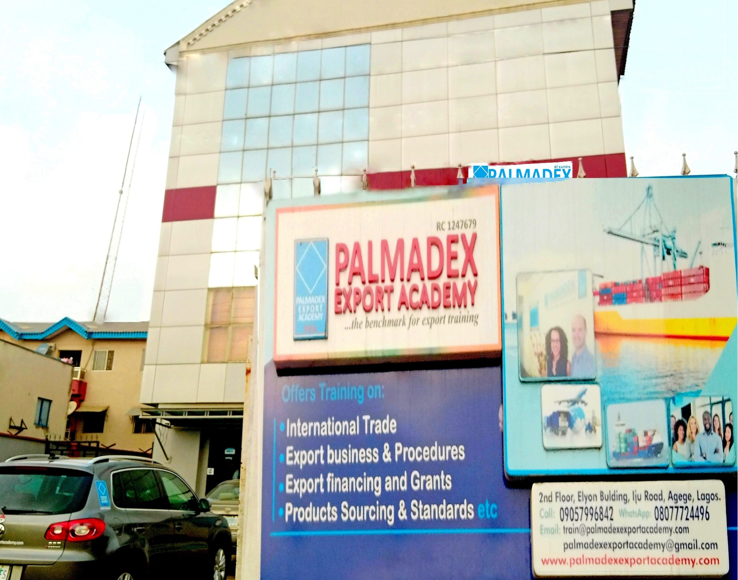 Palmadex (35)