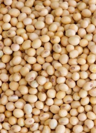 soybeans-1200x900 soybeans-1200x900