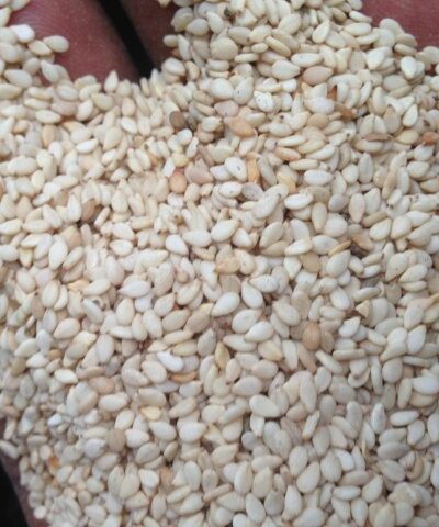 Hulled-Sesame-Seeds-3 Hulled-Sesame-Seeds-3