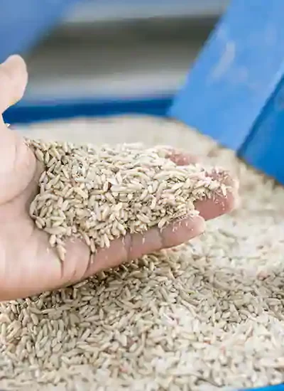 shutterstock-619680854-rice-mills-2-sp940 shutterstock-619680854-rice-mills-2-sp940