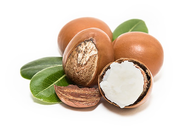 Shea Nuts